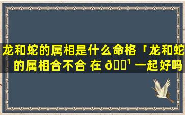 龙和蛇的属相是什么命格「龙和蛇的属相合不合 在 🌹 一起好吗」